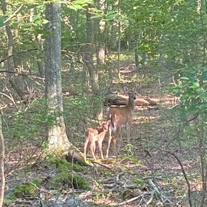 Meet your Posher, Caitlin